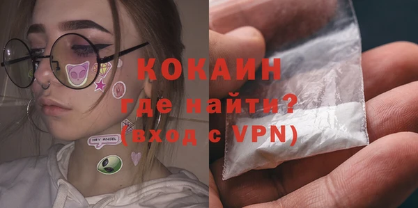 дмт Арсеньев