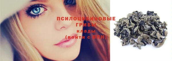 прущий лед Аркадак