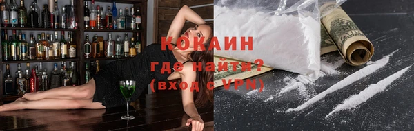 СК Новодвинск